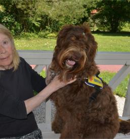 Dom starejših v Posavju