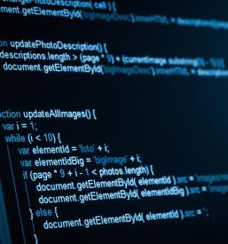 Programer na Goriškem