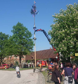 Organizacija dogodkov in prireditvev Spodnja Polskava