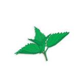 TD Kopriva Sp. Polskava