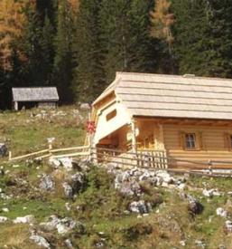 Ute in brunarice Savinjska