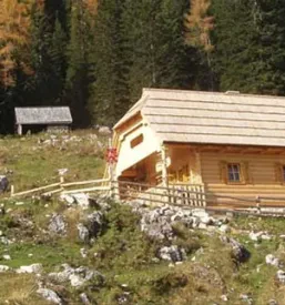 Ute in brunarice Savinjska