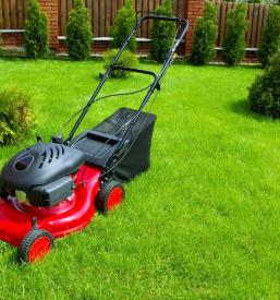 Košnja trave po dogovoru Osrednja Slovenija