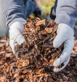 Poskrbimo za mulčenje na Primorskem