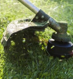 Estetsko urejanje vrtov Ljubljana in okolica