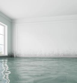 Ugodno življenjsko in premoženjsko zavarovanje Celje