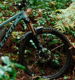 Izposoja kolesa v Kranjski Gori