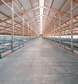 Lesene hale za industrijo Radlje ob Dravi, Koroška, Slovenija