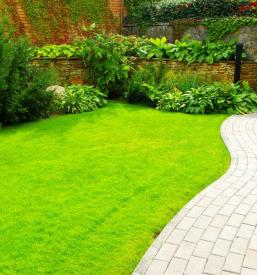 Velika izbira tlakovcev in robnikov