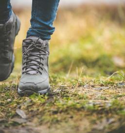 Skrb za gozdne poti Primorska