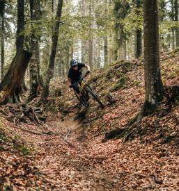 Šola gorskega kolesarstva za otroke Maribor
