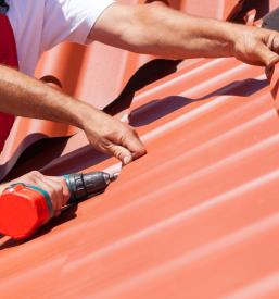 Dober klepar Mirna Peč, Slovenija