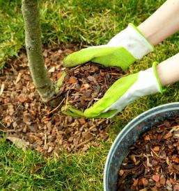 Vrtnar Cerklje na Gorenjskem, Gorenjska