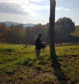 Geodetski načrt Ptuj