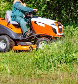 Kaj je mulčenje, na Primorskem to rabimo?