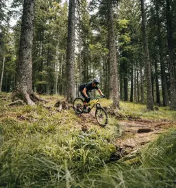 MTB šola Maribor