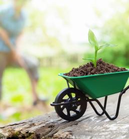 Spletna prodaja električne samokolnice Karjola