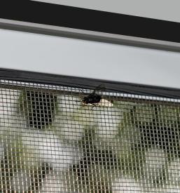 Komarniki in senčila Velenje, Savinjska