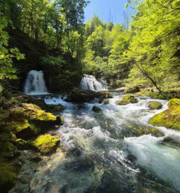 Oddaja počitniške hiše za 6 oseb Bohinjska Bistrica
