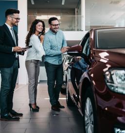 Prodaja rabljenih vozil Polzela, Celje, Savinjska