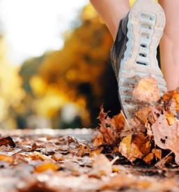 Kondicijski treningi Ljubljana
