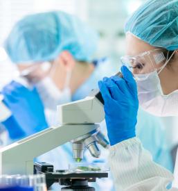 Cleanroom construction for pharmaceutical and automotive industries EU