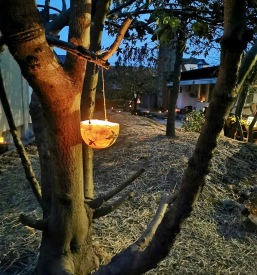 Varstvo otrok v waldorfskem vrtcu Maribor