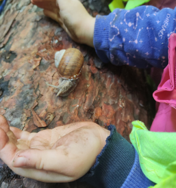 Ugoden zasebni vrtec Maribor