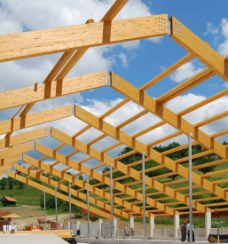 Montažne industrijske hale Radlje ob Dravi, Koroška, Slovenija