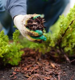 Gradbeni izkopi Obala