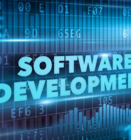 Software developer Goriška