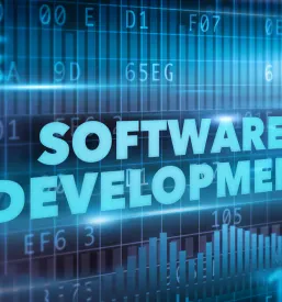 Software developer Goriška