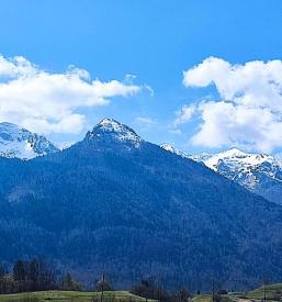 Bohinj razgled