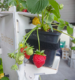 Pridelava hrane Slovenija