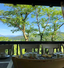 Vacanza tra i vigneti del Collio