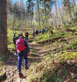 Društvo za pohodništvo Pomurje
