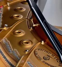 Servis glasbenih instrumentov Ljubljana