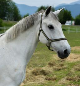Prostor za praznovanje otroških rojstnih dnevov Savinjska