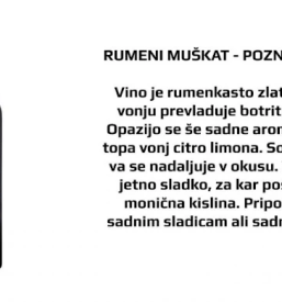 Vina in degustacija Bela krajina