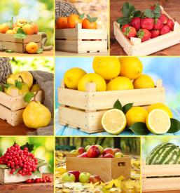 Prodaja sadja in zelenjave Vodice