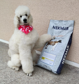 Hitra dostava mačje in pasje hrane Slovenija