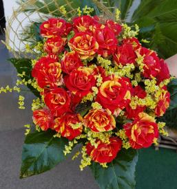 Ugodni šopki Grosuplje