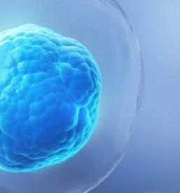 Klinika za sklepe, hrbtenico in poškodbe v Ljubljani