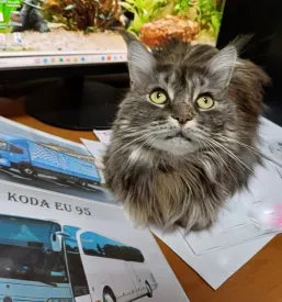 Šola vožnje za poklicne voznike Podravska