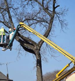 Višinska dela Savinjska