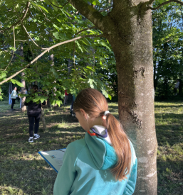 OŠ Ilirska Bistrica