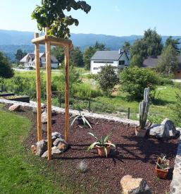 Zasaditev drevja Bled