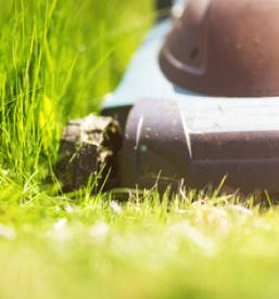 Urejanje in vzdrževanje zelenih površin in okolice Jesenice