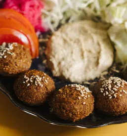 Vegan falafel Ljubljana