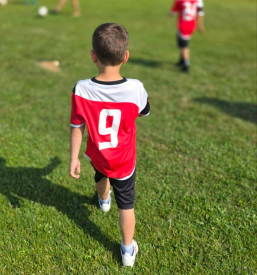 Nogomet za odrasle Postojna